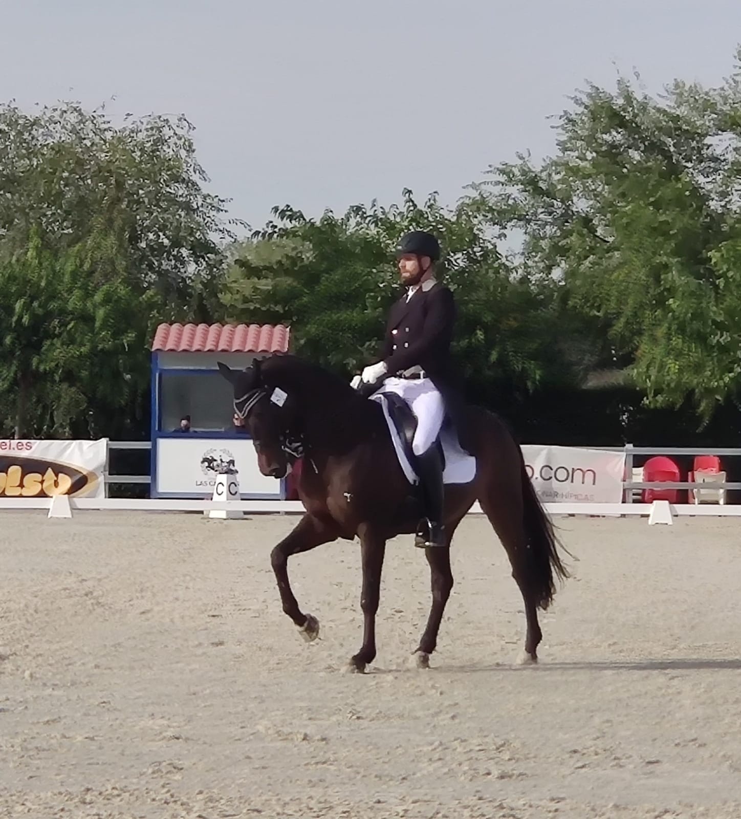 Magnífica actuacion de los jinetes y amazonas Navarros en los Campeonatos de España de Doma Clásica Absoluto y Doma Adaptada 2020